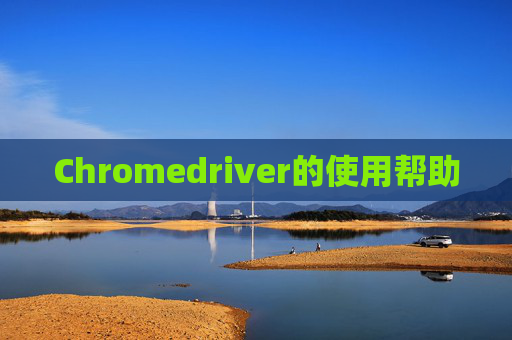 Chromedriver的使用帮助