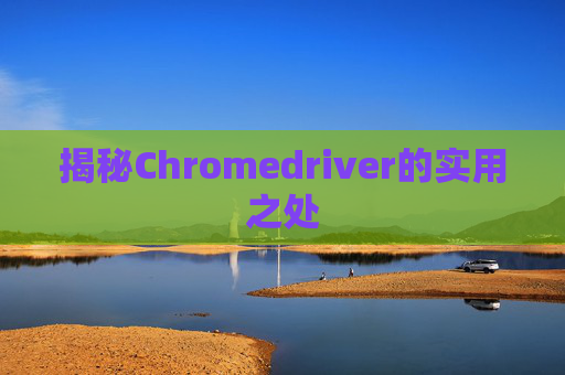 揭秘Chromedriver的实用之处